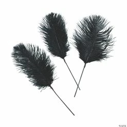 Budget 🧨 Black Ostrich Feathers - 24 Pc. 😉